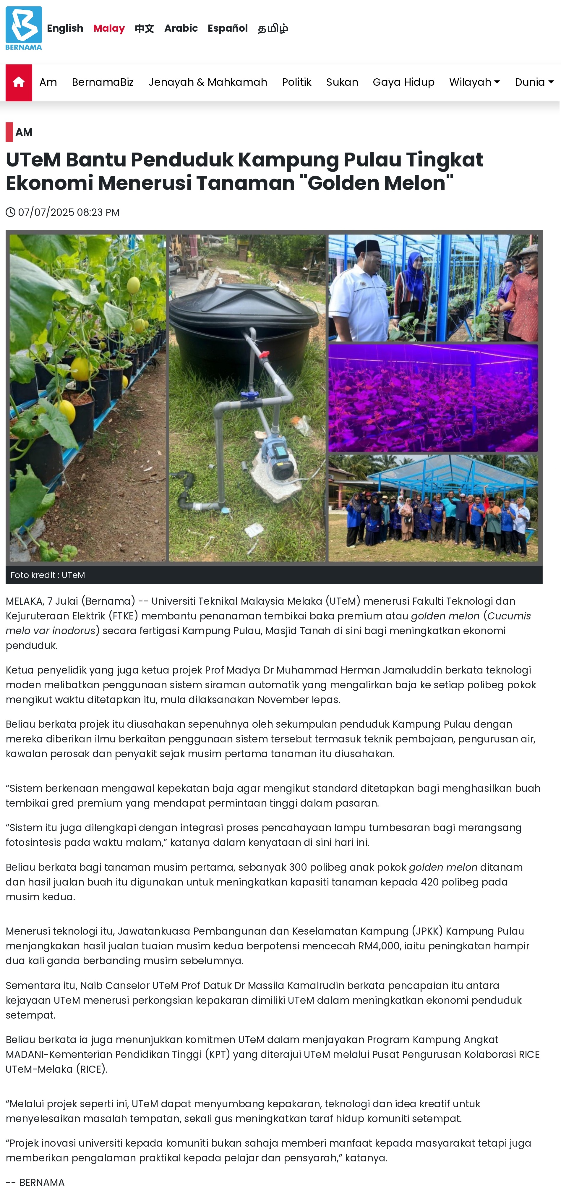 275 UTeM Bantu Penduduk Kampung Pulau Tingkat Ekonomi Menerusi Tanaman _Golden Melon